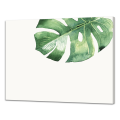 Blackboard LEAF G6846 PINTDECOR