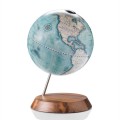 Bridge globe