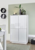 ICE 4-door cabinet