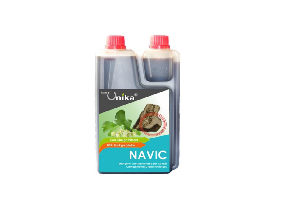 NAVIC (1.25 LT)