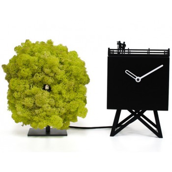 BIRD WATCHING CLOCK MOD. 2240 PROJECTS