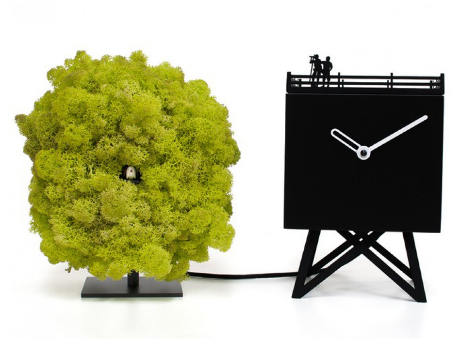 BIRD WATCHING CLOCK MOD. 2240 PROJECTS