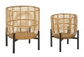 RATTAN POT HOLDER PAIR 41 and 33 cm