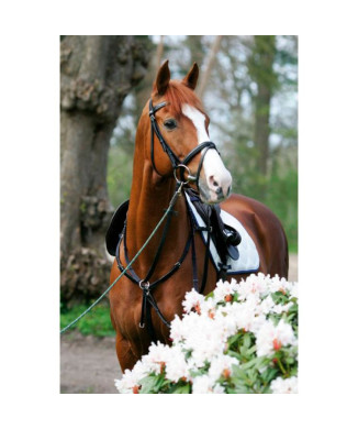 Chest strap with side attachments and fixed martingale