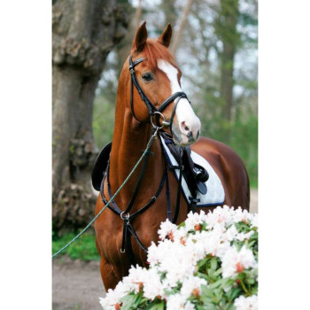 Chest strap with side attachments and fixed martingale