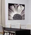 Framework BLACK DAISY P4752 PINTDECOR