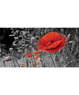 Framework FIELD OF POPPY G2516 PINTDECOR