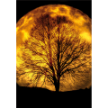 Framework LIGHT OF MOON G5786 PINTDECOR