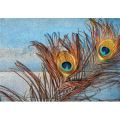 Quadro TWO PEACOCK FEATHERS G4050 PINTDECOR