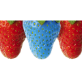 Framework STRAWBERRY SMURF G1878 PINTDECOR