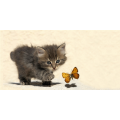 Framework KITTEN AND BUTTERFLY G1588 PINTDECOR