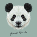 Framework GIANT PANDA G3382 PINTDECOR