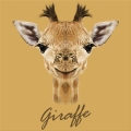 Framework GIRAFFA G3384 PINTDECOR