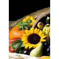 SUNFLOWER framework G2752 PINTDECOR