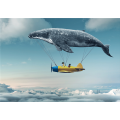 Quadro THE SEA IN THE SKY G3362 PINTDECOR