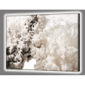 BRIGHT WHITE BLOB painting GL4526 PINTDECOR