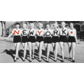 NEW YORK PIN-UP Quadro G2492 PINTDECOR