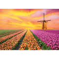 Framework LANDSCAPES NETHERLANDS G4130 PINTDECOR