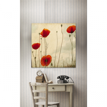 Framework POPPIES G1146 PINTDECOR