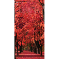 Quadro AUTUMN WALK G4122 PINTDECOR