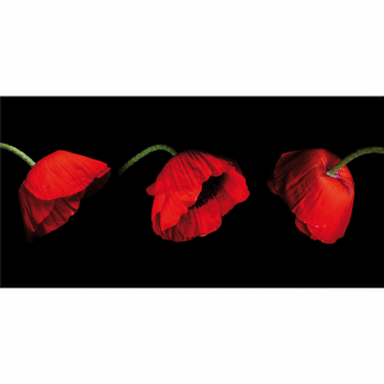 Picture THREE POPPIES G2508 PINTDECOR