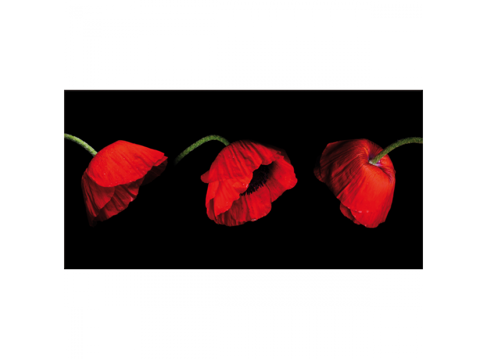 Picture THREE POPPIES G2508 PINTDECOR