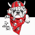 Framework VIKINGS G3394 PINTDECOR