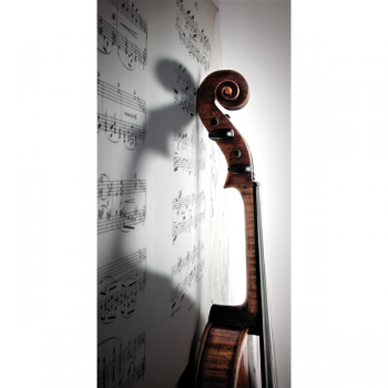 Framework VIOLIN G1498 PINTDECOR