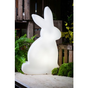 Shining Rabbit 50cm 32478W Season Design