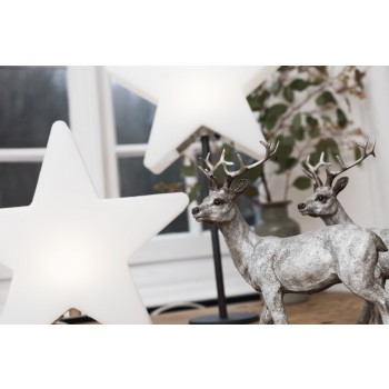 Luminous Star 30 cm (LED) 32508L 8 Seasons Design