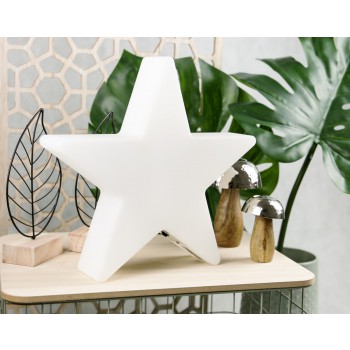 Luminous Star 30 cm (LED) 32508L 8 Seasons Design