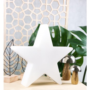 Luminous Star 30 cm (LED) 32508L 8 Seasons Design