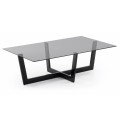 Plam coffee table 120 x 70 cm 