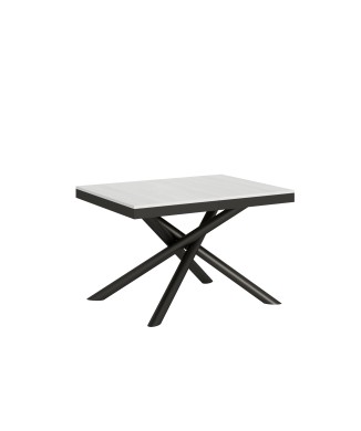 Famas Evolution table - Extendable table 90x120/224 cm Famas Evolution White Ash Anthracite frame