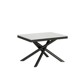 Famas Evolution table - Extendable table 90x120/224 cm Famas Evolution White Ash Anthracite frame