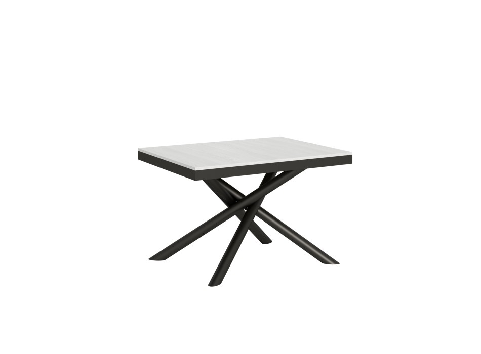 Famas Evolution table - Extendable table 90x120/224 cm Famas Evolution White Ash Anthracite frame