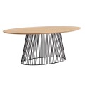 Leska table 200x 110 cm