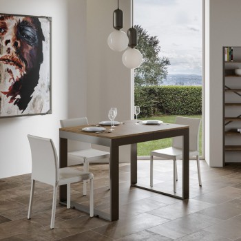 Tecno Evolution table - Extendable table 90x120/380 cm Tecno Evolution White Ash Anthracite frame