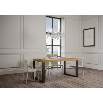 Tecno Premium Table - Extendable table 90x160/420 cm Tecno Premium White Ash Anthracite frame