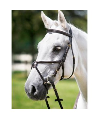 Tattini headboard with crossed noseband